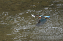 大物ゲット！！