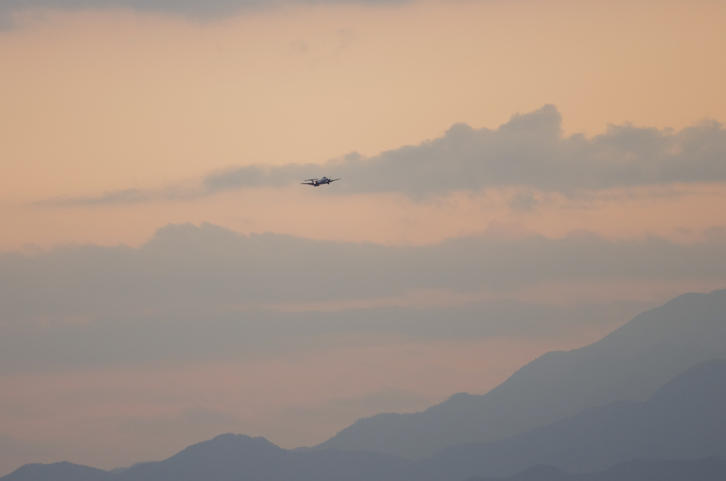 在庫より横田遠望