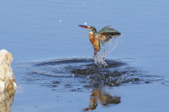 離水　数珠つながりの飛沫
