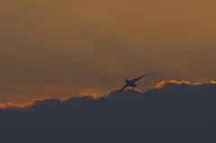C-5遠望
