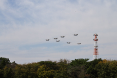 チヌーク7機編隊