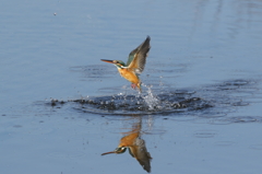 離水　映り込み