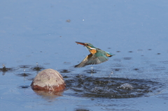 離水　前へならえ
