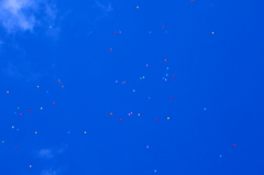 空高く
