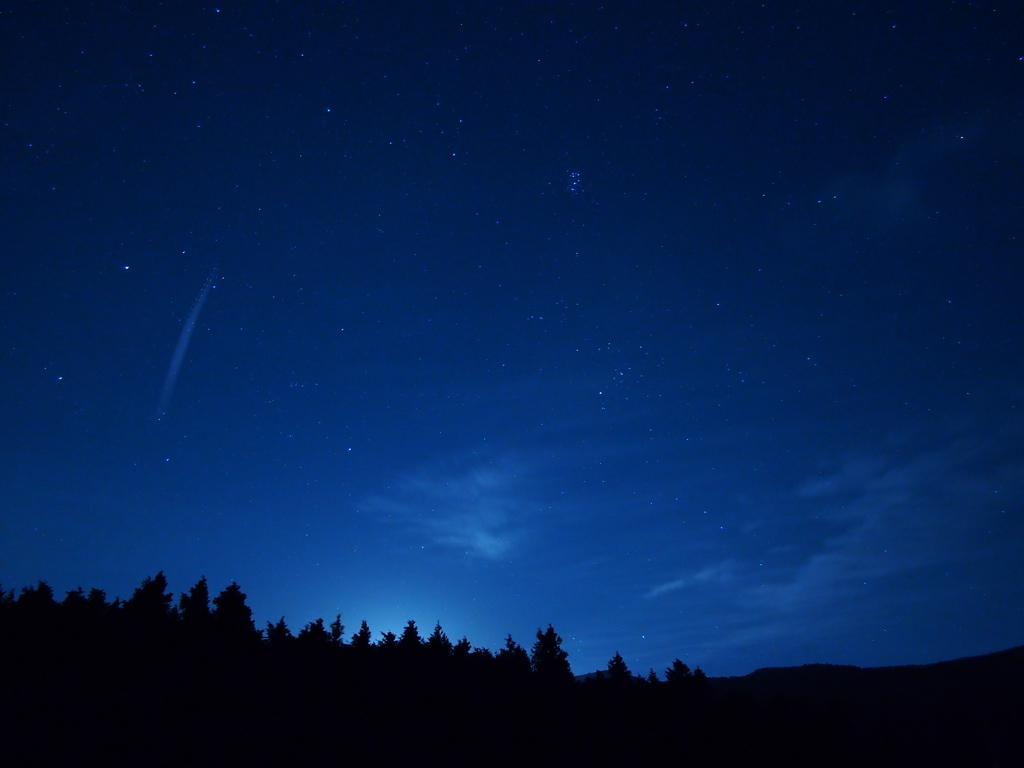 森と星空2