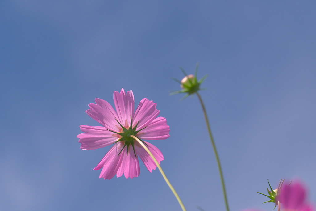 空に向かって