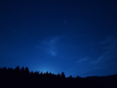 森と星空