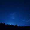 森と星空