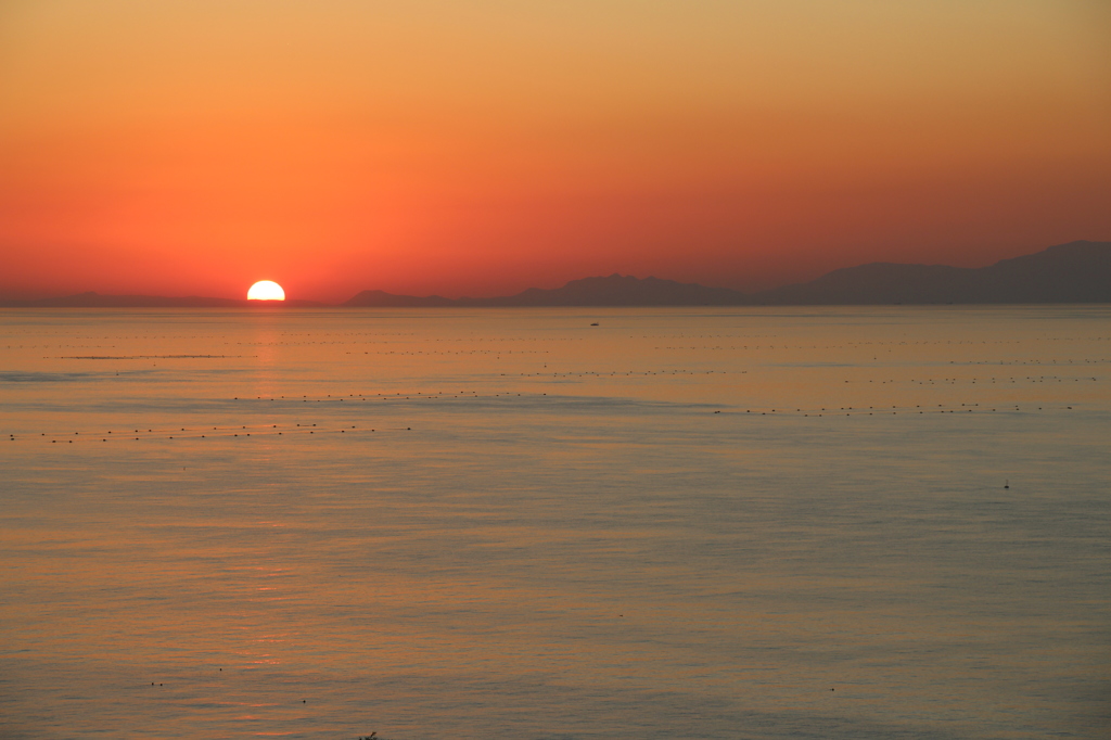 夕日