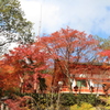 鞍馬③