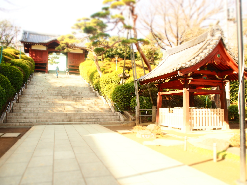 護国寺