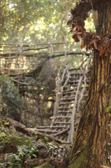 秘密基地