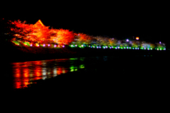 河津夜桜