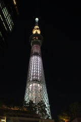 スカイツリー