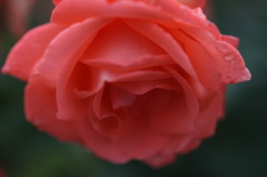 IMG_1027