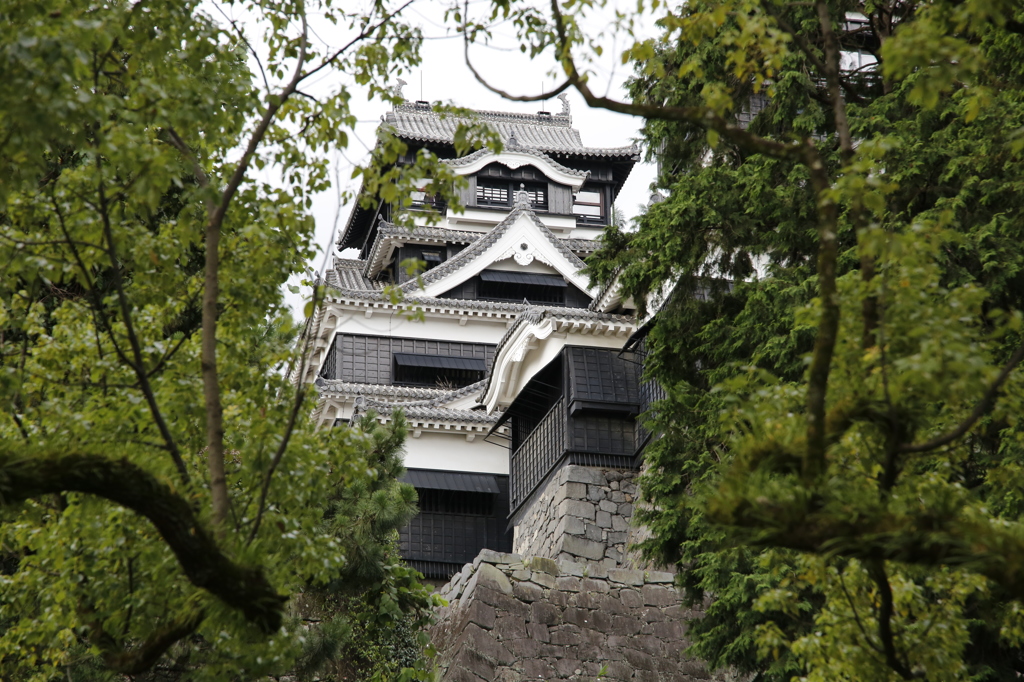 熊本城