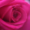 IMG_1018