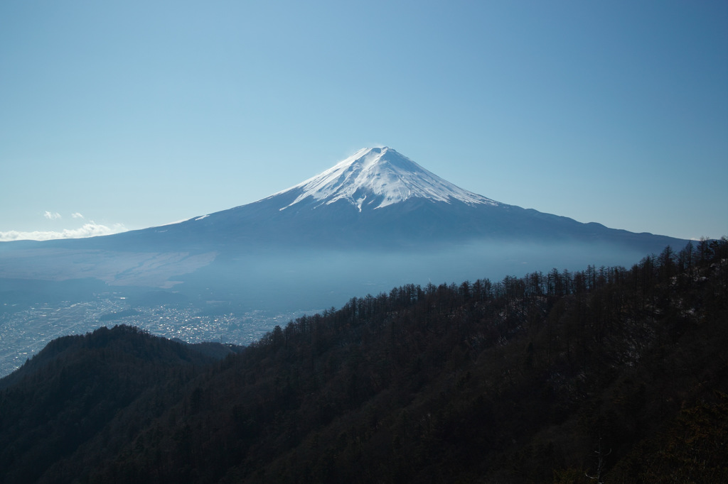 SDIM0010