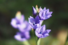 P5070397