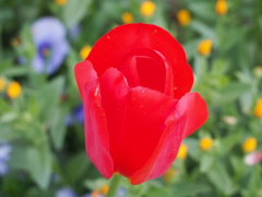 P4180183