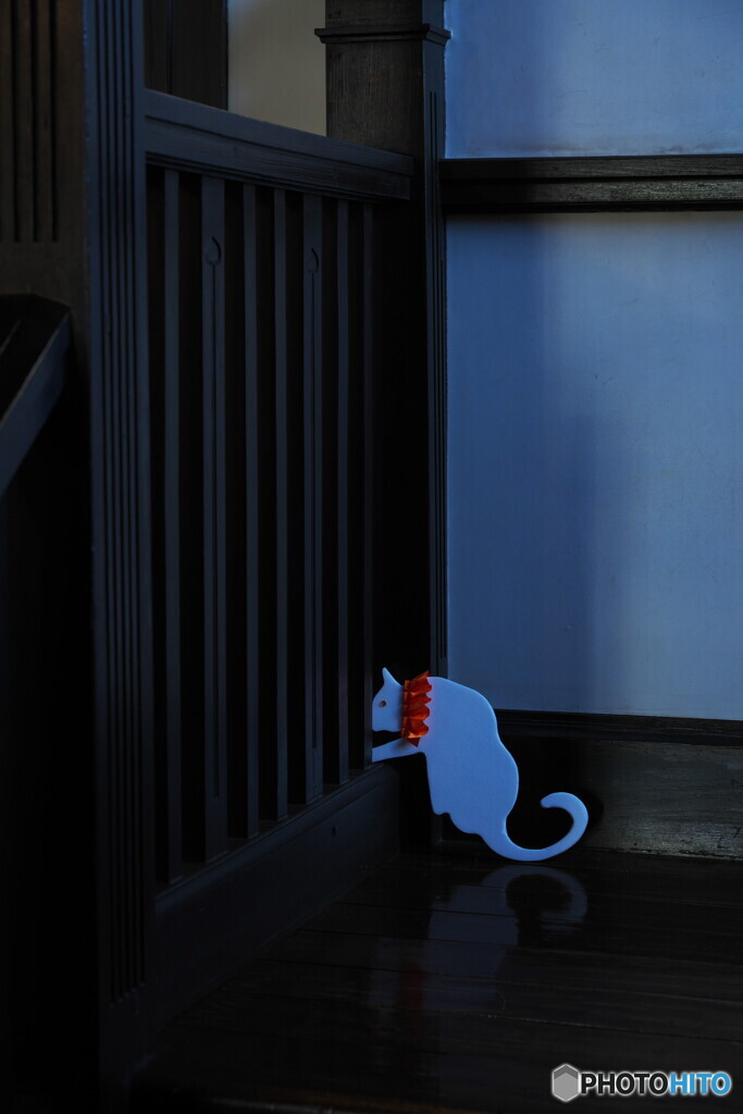 猫がいたⅡ