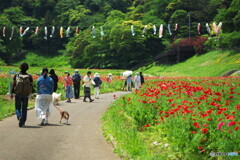 花の国だよりⅡ