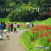 花の国だよりⅡ