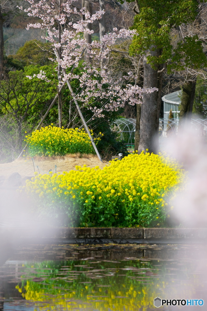 気持ちは弾んで