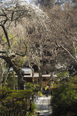 南風心地好しⅡ（瑞泉寺）