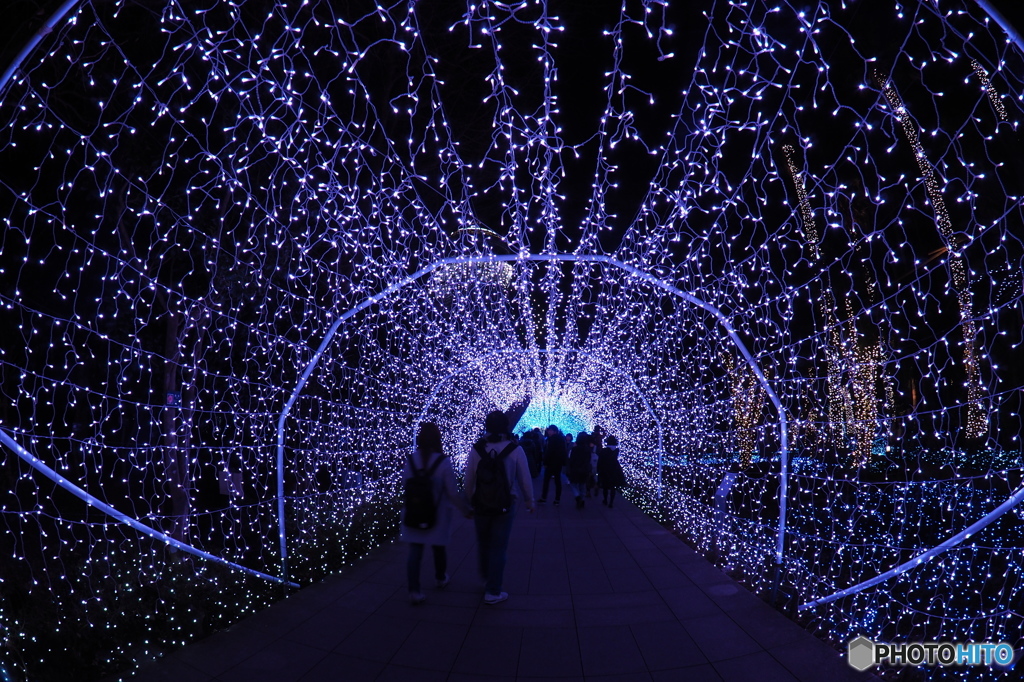 蒼色ルンルン