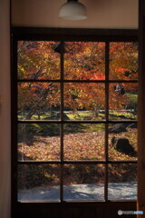 古硝子の向こう