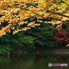 池畔秋色
