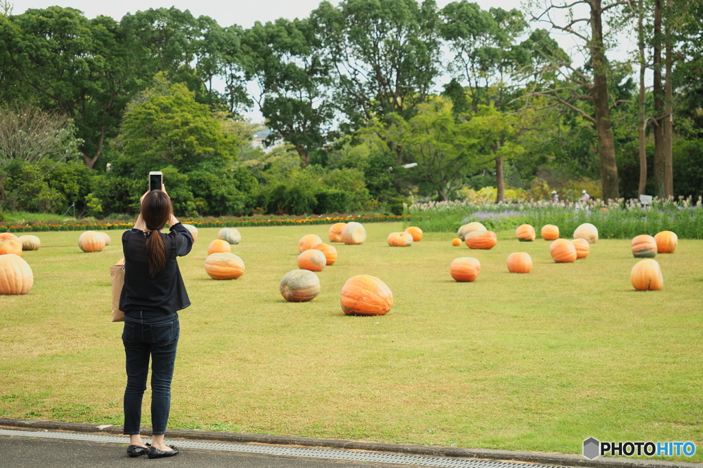 良いの撮れましたか32（植物園)