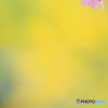 春スイッチ