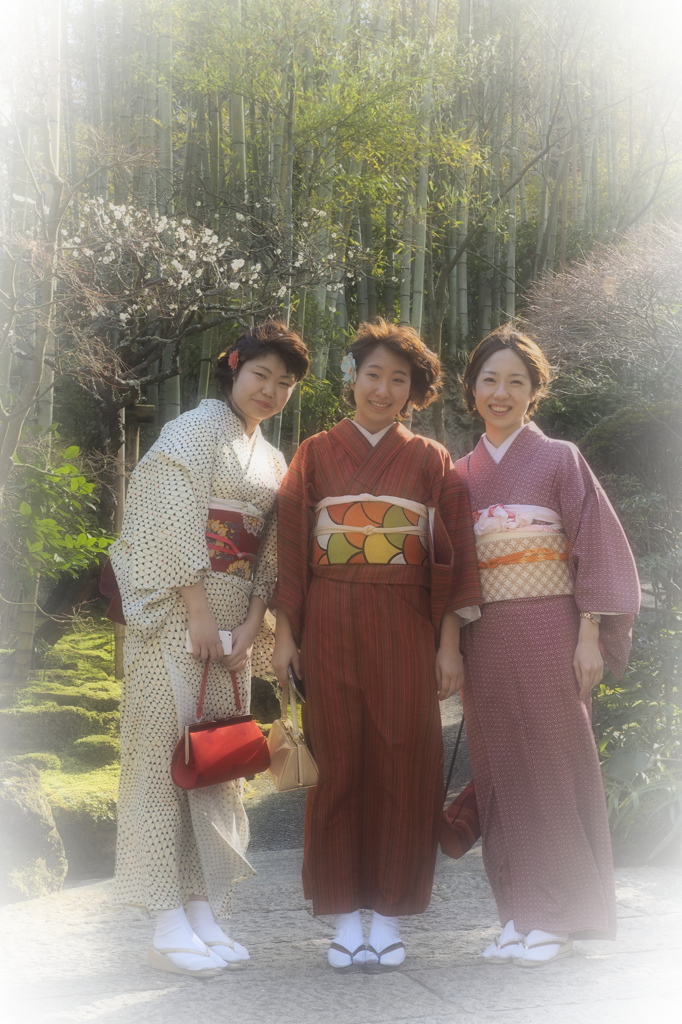 撮らせて頂きますⅢ（報国寺）