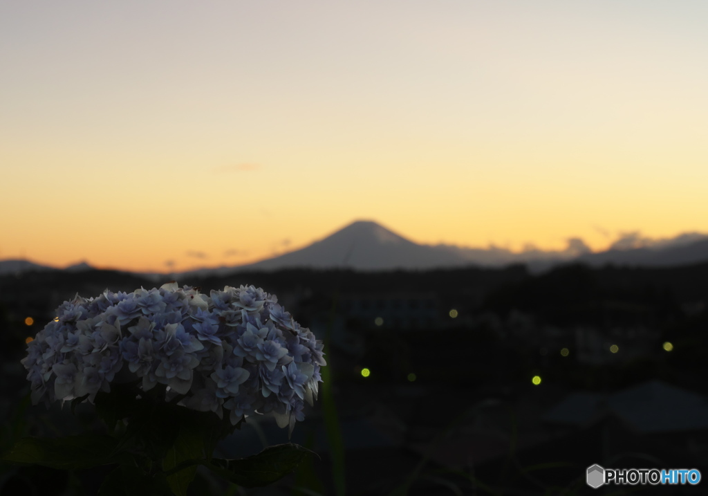 ほの明かり