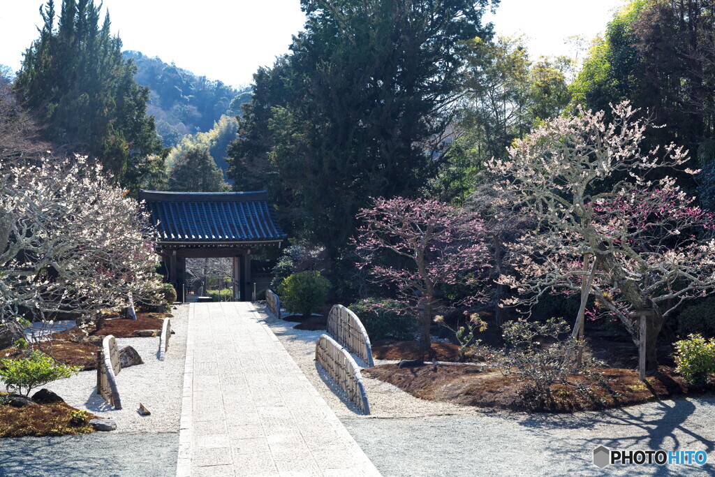 鎌倉逍遥Ⅲ