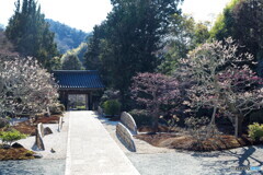鎌倉逍遥Ⅲ