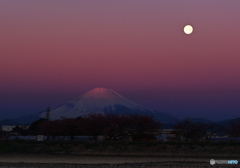 紅を引く