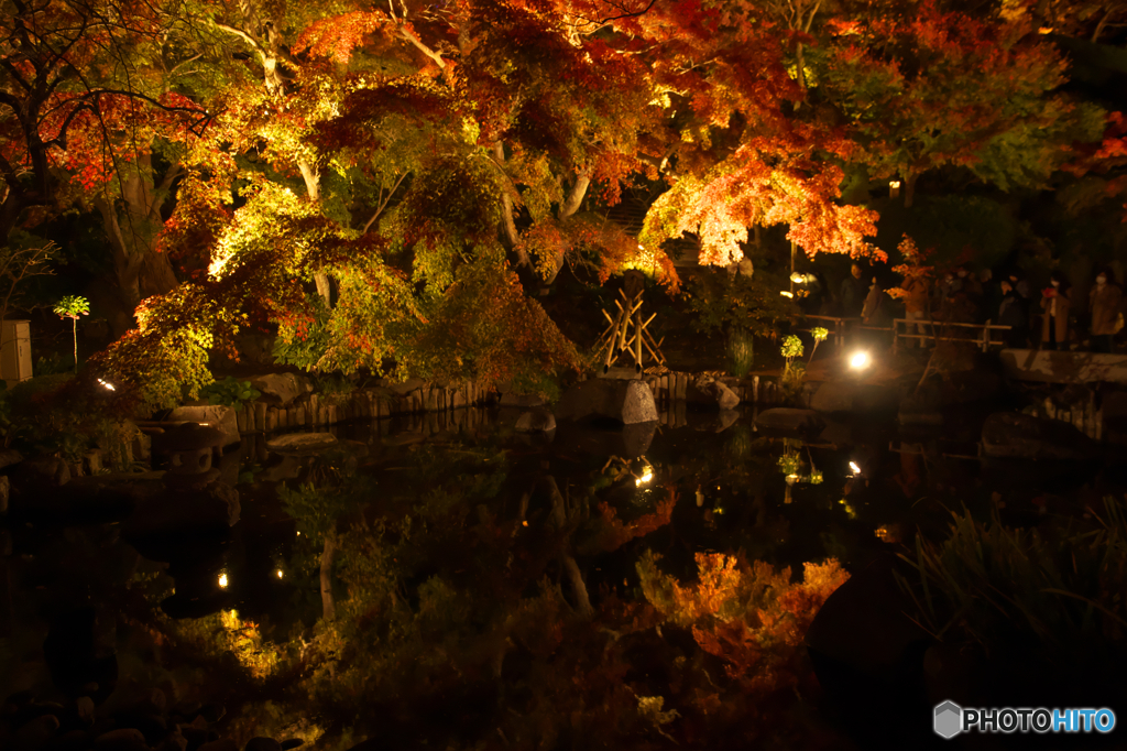 紅映し