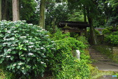 鎌倉NOW浄智寺