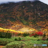 栂池自然園の思い出（大蔵出し）Ⅱ