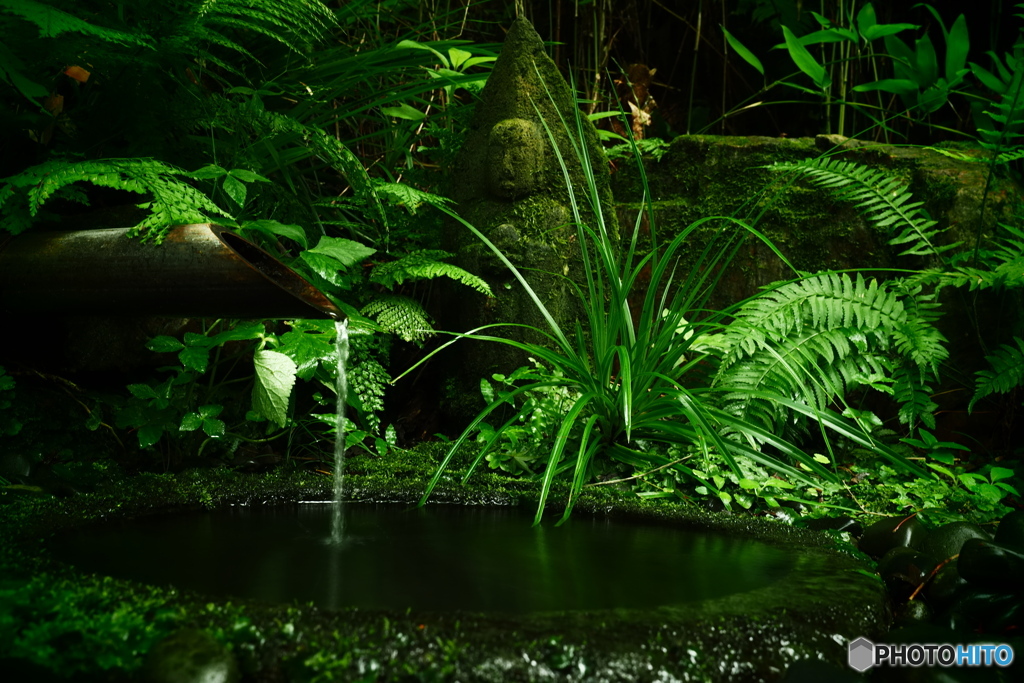 水清く　緑心にしみる