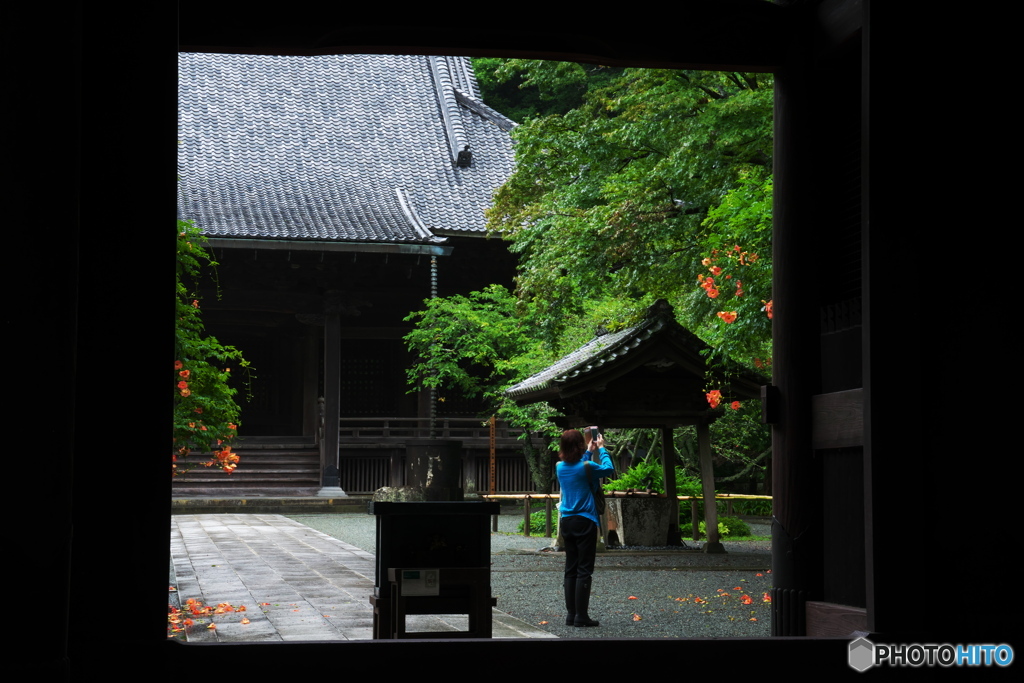 良いの撮れましたか36(妙本寺）