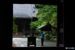 良いの撮れましたか36(妙本寺）