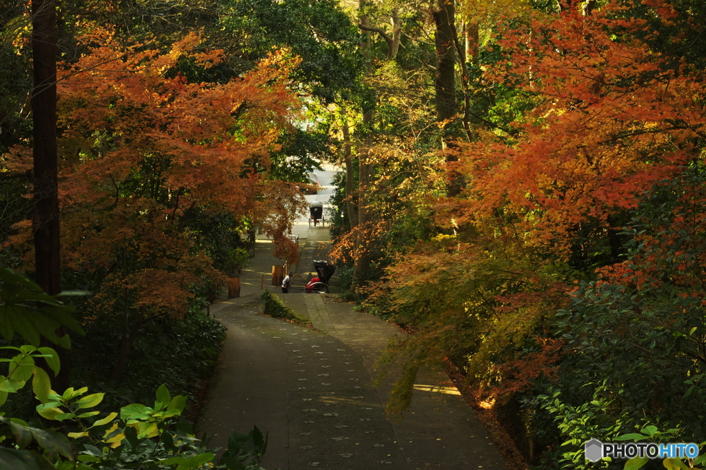 鎌倉Now03（妙本寺）