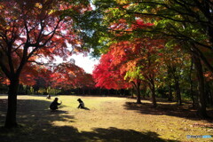良いの撮れましたか49（ふるさと村）