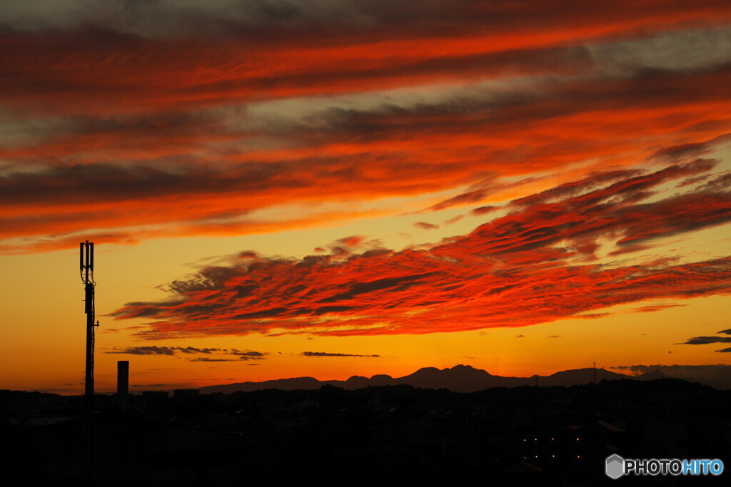 獣の顔に見えなくはないです
