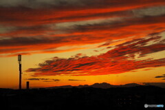 獣の顔に見えなくはないです