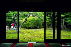 緑に紅も